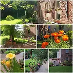 City Appartement Mit Garten, Zentral Und Trotzdem Ruhig