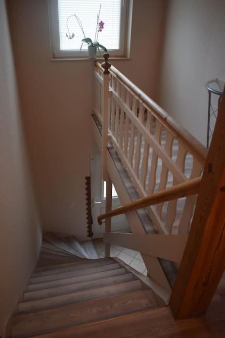Apartamento Mit Garten, Zentral Und Trotzdem Ruhig Cottbus