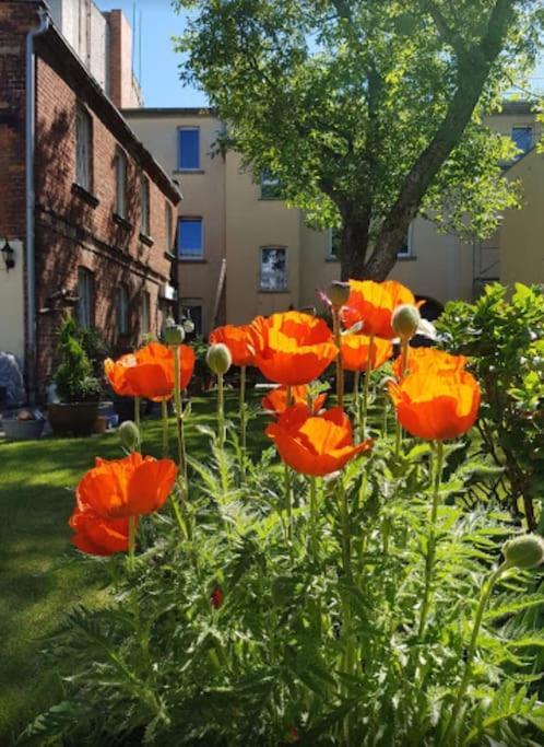 Apartamento Mit Garten, Zentral Und Trotzdem Ruhig Cottbus